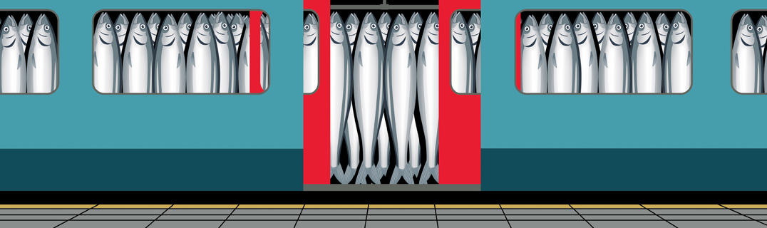 Sardines représentant les voyageurs d'un train bondé